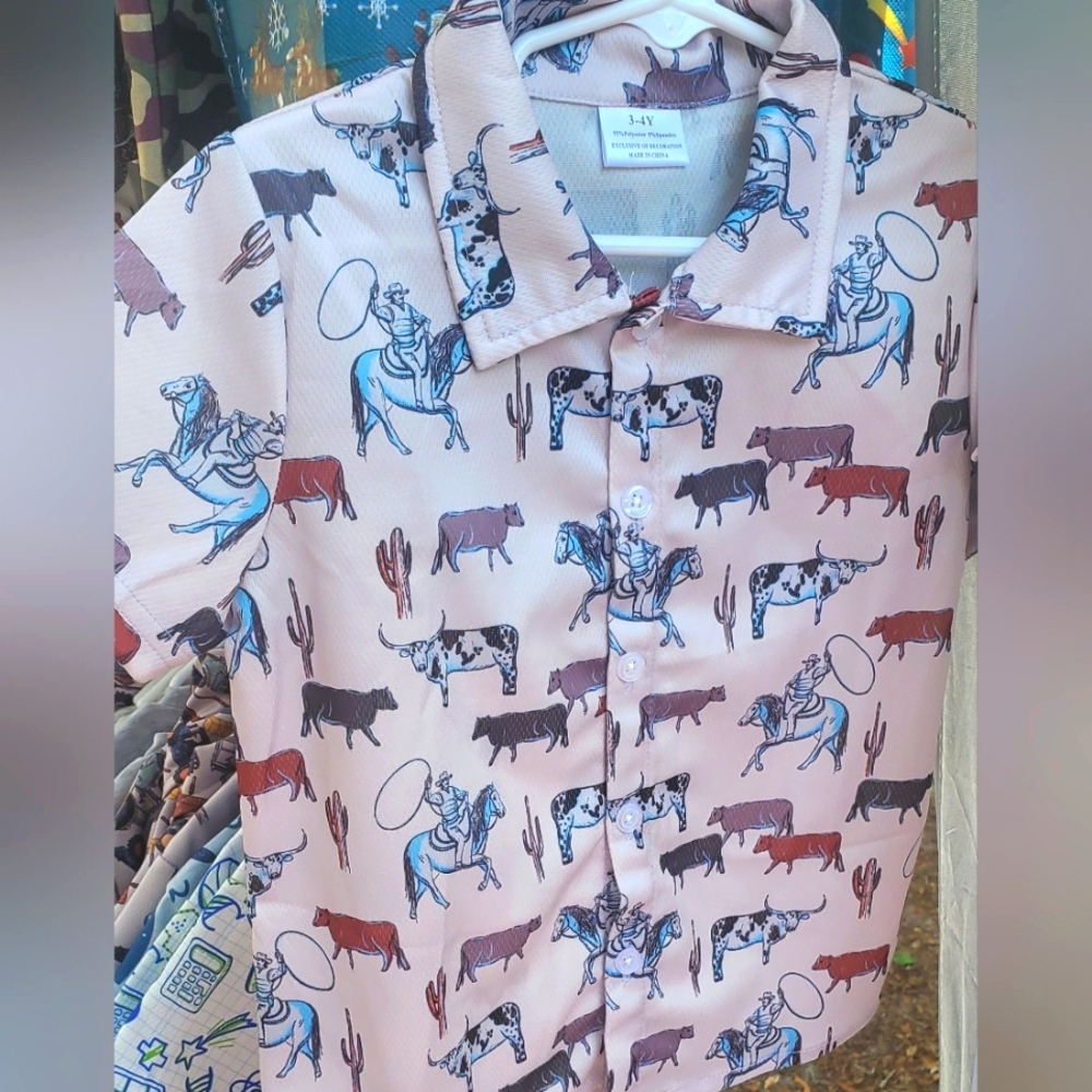 Boys Cowboy Shirt Size 3-4 Toddler